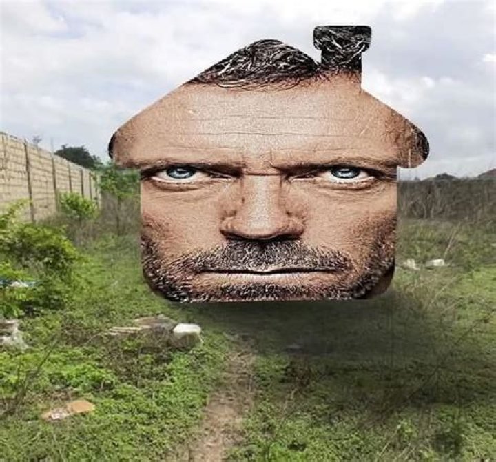12 Hilarious Posts Dr. House Would Share If He Was on Instagram