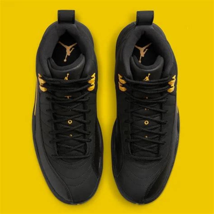 Air Jordan 12 