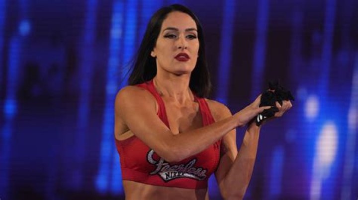Brie Bella Fires Back at Fans Claiming Nikki Bella and John Cena’s Split Was Fake: “This Is Real Life”