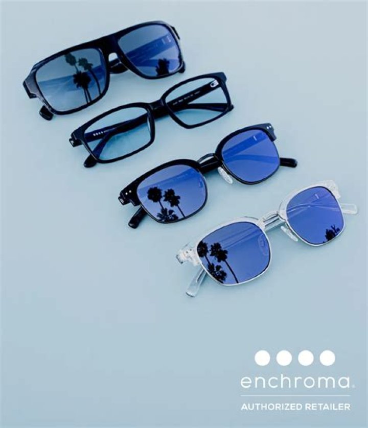 ¿Cuánto cuestan las gafas EnChroma? – Celebrity.fm