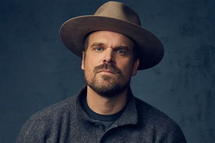David Harbour Net Worth, Fortune, Salary, Income, Career, Home, Partner, Age & Religion