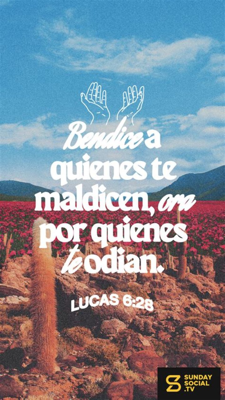 ¿Donde dice en la Biblia bendice al que te maldice? – Celebrity.fm
