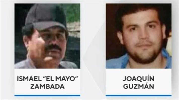 El Chapo (Criminal) - Age, Birthday, Bio, Facts, Family, Net Worth, Height & More
