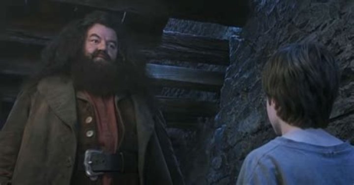 ¿Es el viaje de Hagrid una montaña rusa? – Celebrity.fm