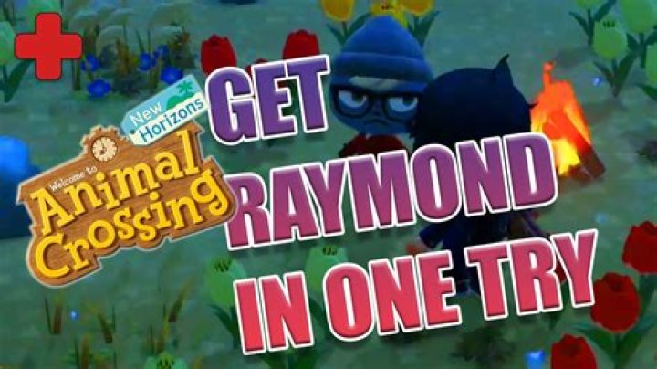How do you get Raymond fast in Animal Crossing?