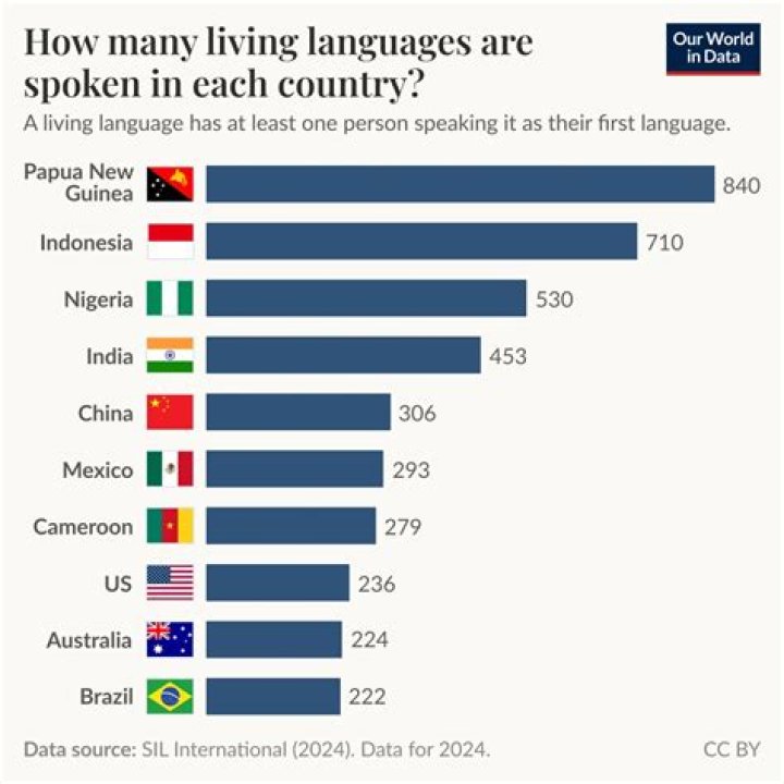 How many languages does Mads Mikkelsen speak?
