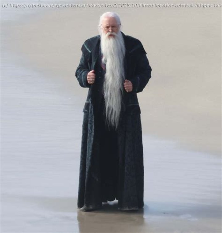 Is Dumbledore’s beard real?