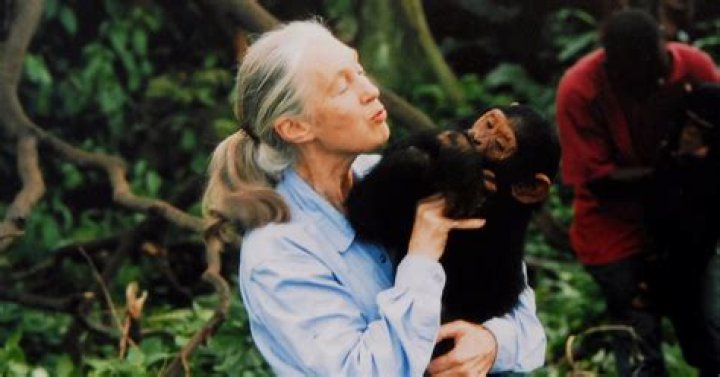 Jane Goodall Biography, Age, Height, Husband, Net Worth, Family