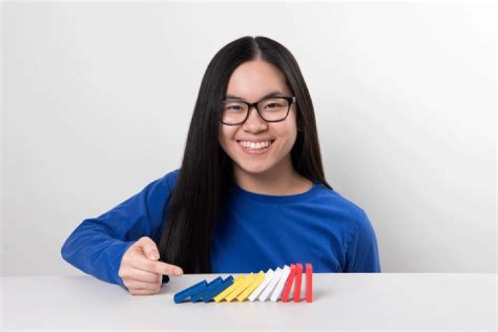 Lily Hevesh Age, Wiki, Net worth, Biography, Height, Boyfriend Girlfriend