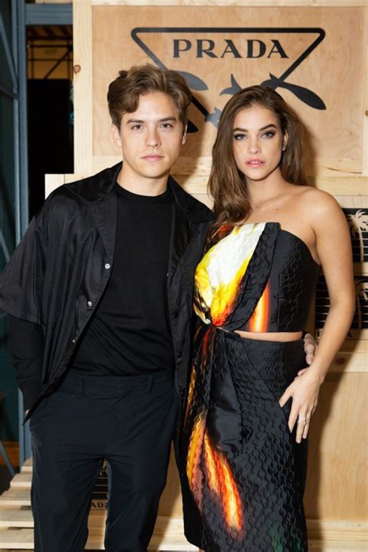 Look Back at Dylan Sprouse and Barbara Palvin’s ~Suite~ Relationship Timeline Before Marriage!