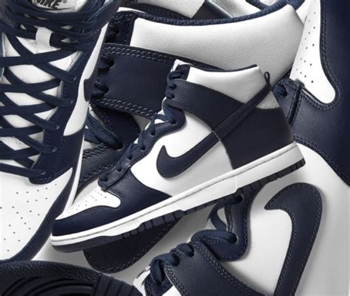 Nike Dunk High 