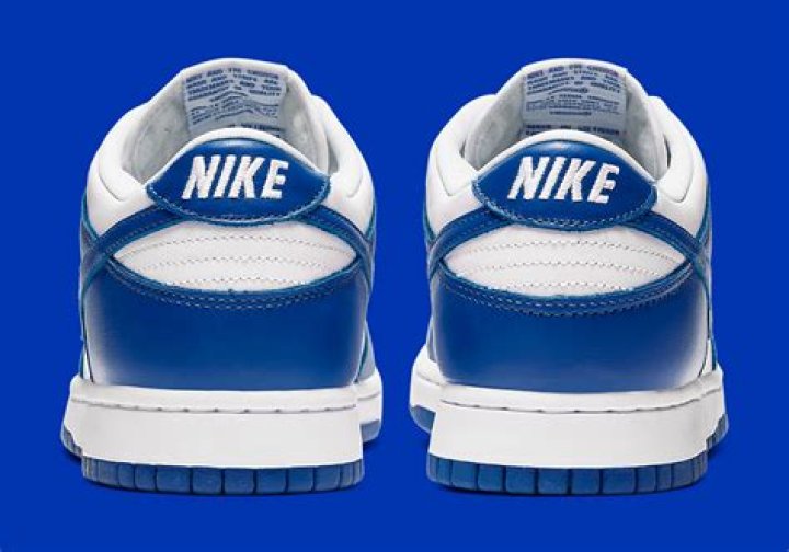 Nike Dunk Low 