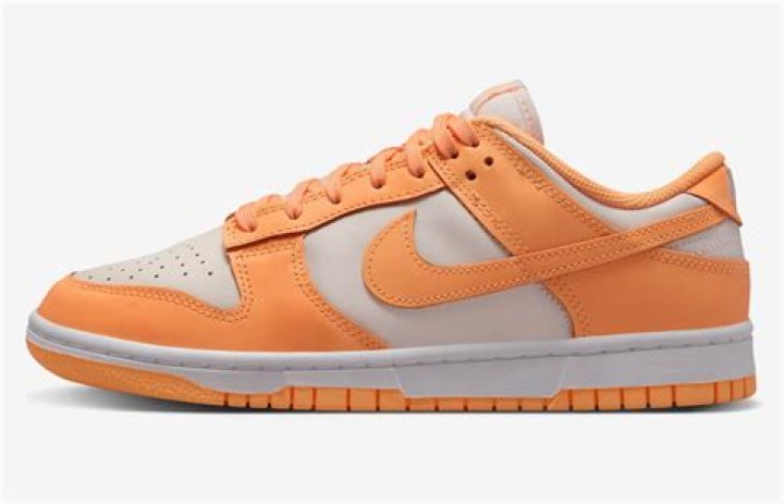 Nike Dunk Low 