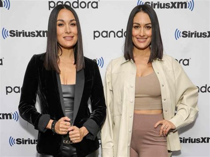 One in the Same! Nikki and Brie Bella Are Planning a ‘Twin Gender Reveal’