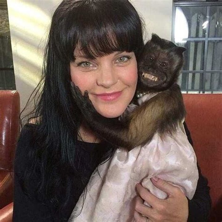 Pauley Perrette Biography, Age, Height, Husband, Net Worth, Family