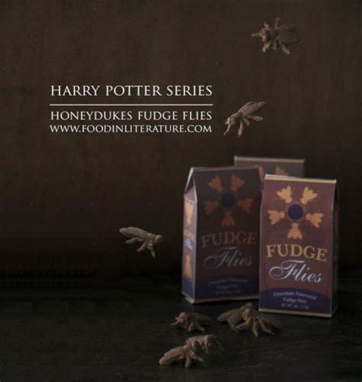 What are fudge flies in Harry Potter?