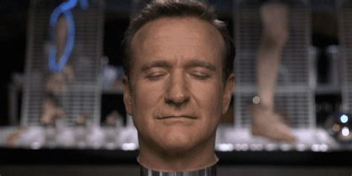 What happens in the end of Bicentennial Man?
