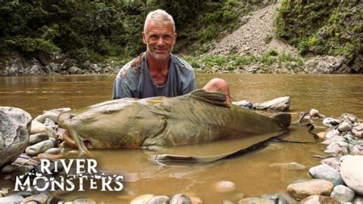 What is the biggest fish caught on River Monsters?