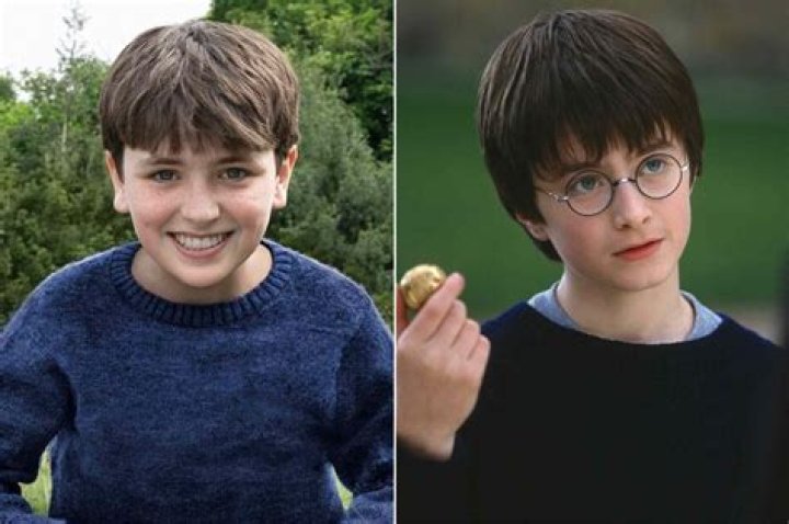 Who in Harry Potter has a beard?